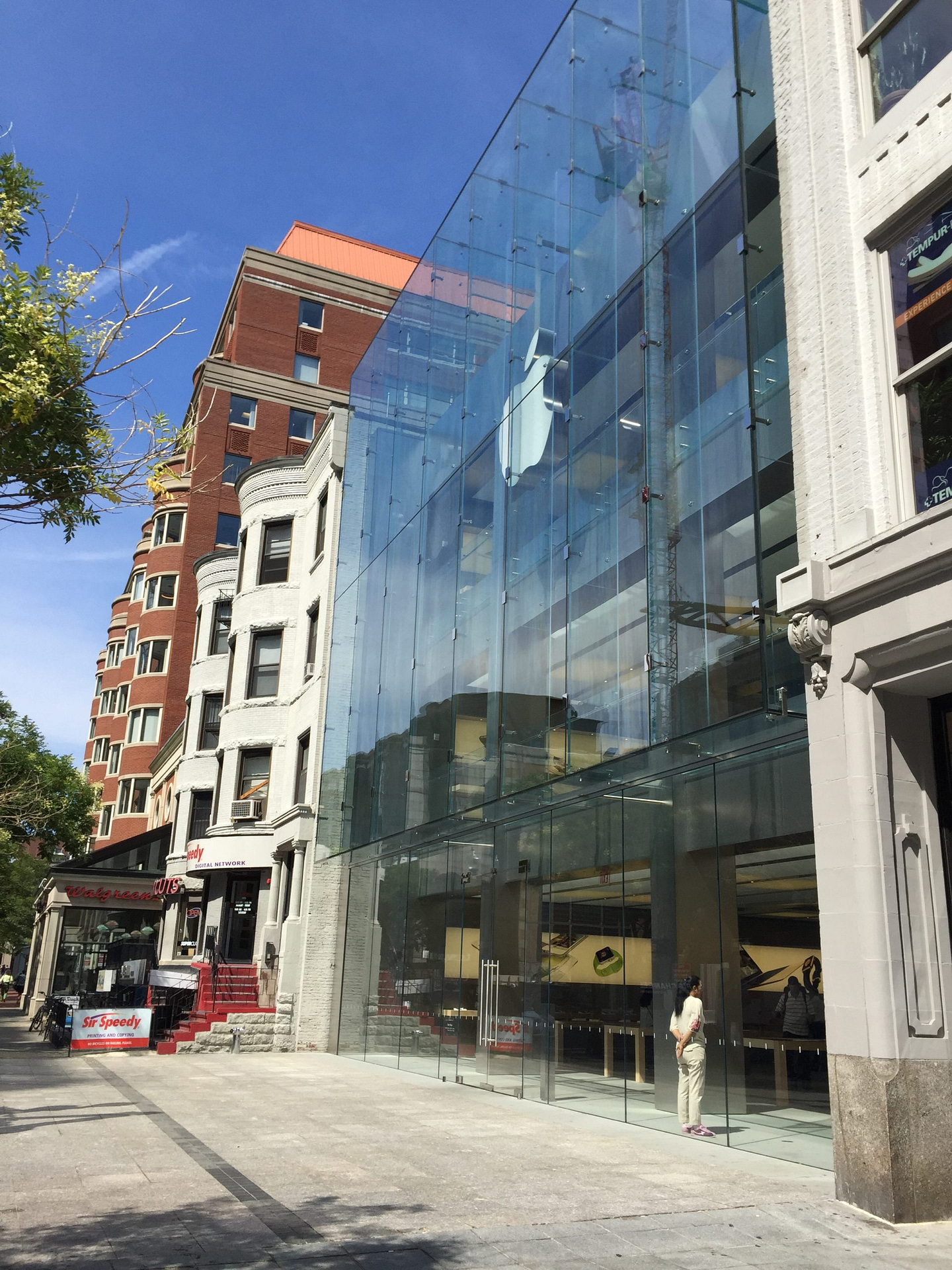 Apple Back Bay
